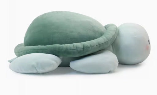Cute smiling turtle plush doll