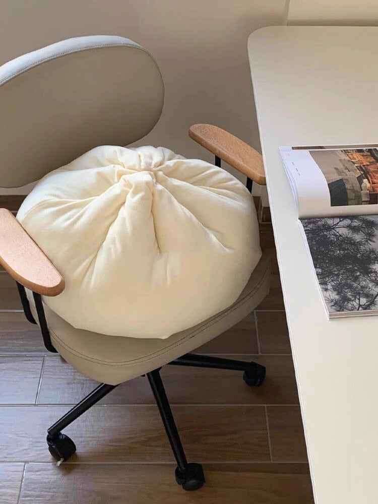 White Chinese dumplings pillow