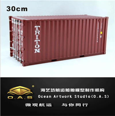 Triton Shipping Container 1-20 ABS plastic model