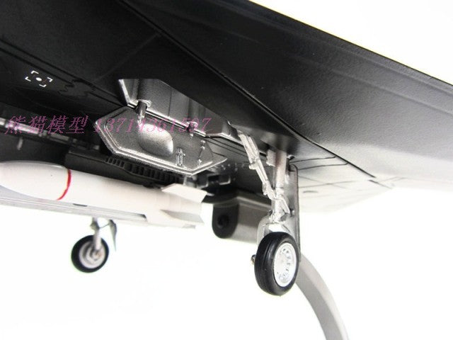 The Nighthawk F117 stealth fighter aircraft model 1-72